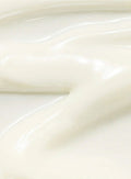 Rice & Probiotic SPF 50 Sunscreen Key Ingredients & Active Formula Highlight
