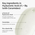 Hyaluronic Acid 2% + B5 + Key Ingredients & Active Formula Highlight