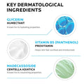 Cicaplast Gel B5 Soothing Skin Protectant Key Ingredients & Active Formula Highlight