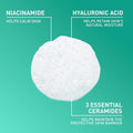 Foaming Face Wash for Oily Skin Key Ingredients & Active Formula Highlight