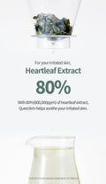 How to Apply Heartleaf 80% Soothing Face Serum for – Skincare Routine Demo
