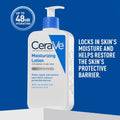 Daily Moisturizing Lotion with Hyaluronic Acid Size & Scale Reference Shot