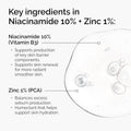 Niacinamide 10% + Zinc 1% Serum Key Ingredients & Active Formula Highlight