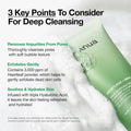 Heartleaf BHA Pore-Cleansing Foam Face Wash Key Ingredients & Active Formula Highlight